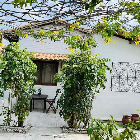Casa Tua Pipa - Chále 1 Praia de Pipa Exterior foto