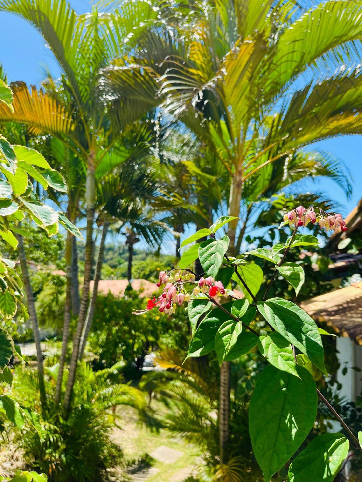 Casa Tua Pipa - Chále 1 Praia de Pipa Exterior foto