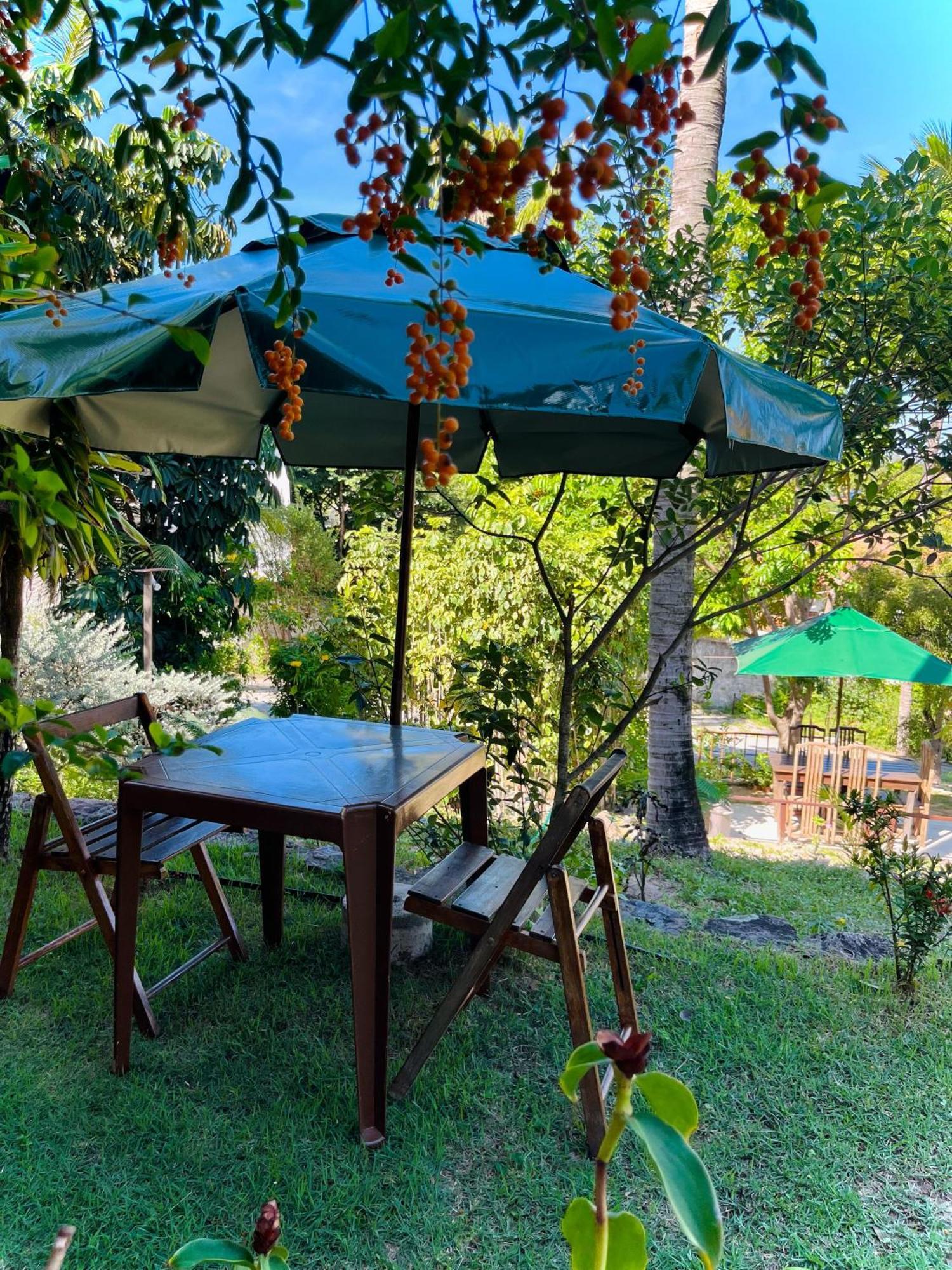 Casa Tua Pipa - Chále 1 Praia de Pipa Exterior foto